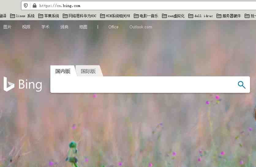 微軟 Bing 搜索