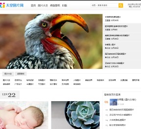 天堂圖片網
